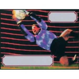 Labels - Sports Soccer (4 Labels - /Sheet) (BN80)