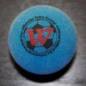 Warrior Set of 4 Pro Game Ball in Blue